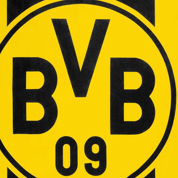 Borussia Dortmund BVB Bettwäsche Blockstreifen 135 x 200 cm
